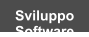 Sviluppo Software