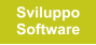 Sviluppo Software